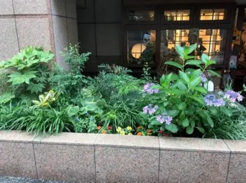 改善後のマンションエントランス花壇。高低差と季節の花で彩られた植栽