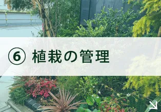 植栽の管理