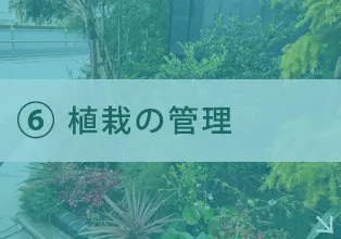 植栽の管理
